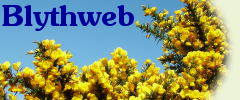 This can be a glorious time to take a refreshing break in the countryside and coastal area of north-east Suffolk. Golden gorse plus the blaze of autumn leaves as trees prepare for winter, all under a wide blue sky, make for memorable days. This can be a glorious time to take a refreshing break in the countryside and coastal area of north-east Suffolk. Golden gorse plus the blaze of autumn leaves as trees prepare for winter, all under a wide blue sky, make for memorable days.